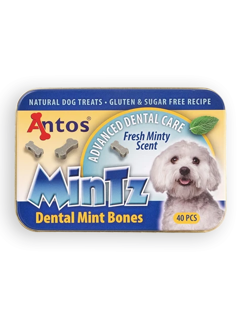 MinTz Dental Mint Bones 40 stuks