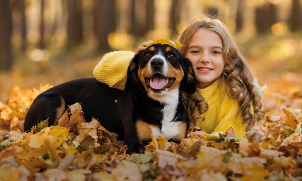 Herfst geïnspireerde snacks voor je huisdier