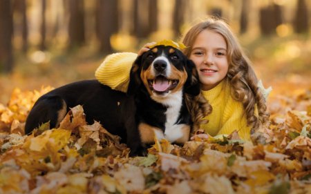 Herfst geïnspireerde snacks voor je huisdier